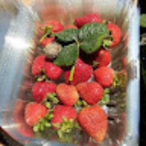 Meet your Posher, Felipe